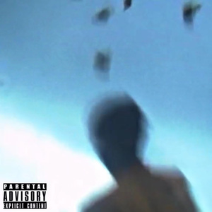 插进大码美女逼里射精
