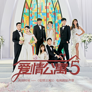 插进大码美女逼里射精
